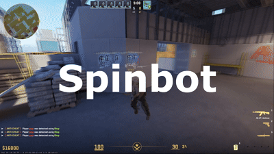 spin.gif