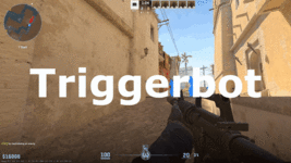 triggerbot.gif
