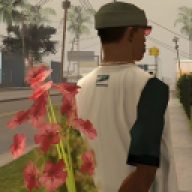 cj9999